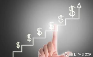 審計(jì)透視 汽車(chē)制造業(yè)公司IPO及年報(bào)審計(jì)實(shí)踐——以甲公司為例